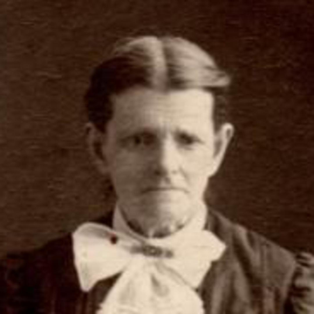 Lavern Bidwell (1833 - 1906) Profile
